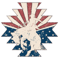 USA Bronc