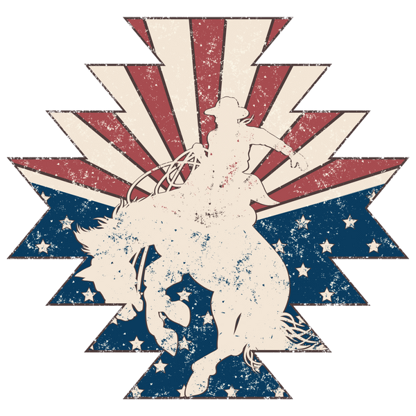 USA Bronc