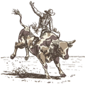 Camo Bull