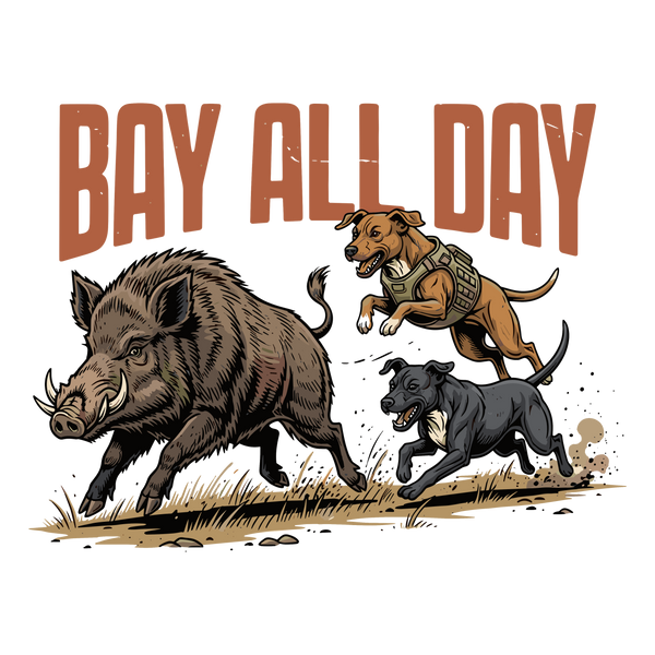 Bay All Day